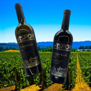 Яке вино обрати: сухе червоне Odessa Black чи сухе біле Chardonnay?