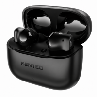 Bluetooth наушники Senteo TWS Wind X True ANC+ENC- черный
